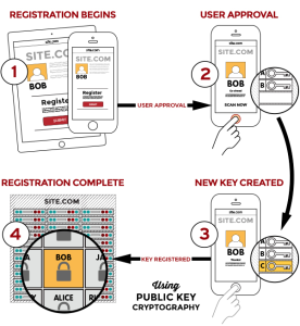 graphic_Registration (Demo)